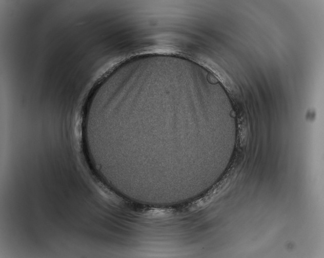 X0000102340350200808291143