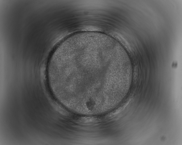 X0000102340351200808291143