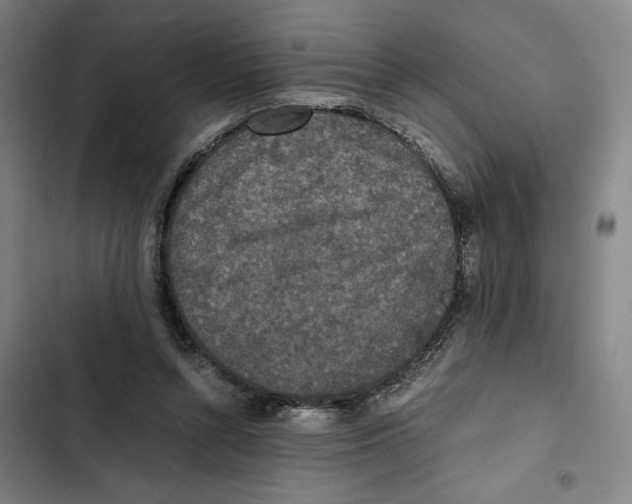 X0000102340352200808291143
