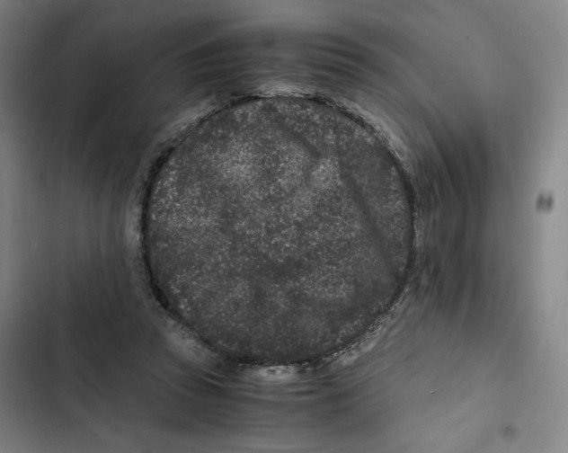 X0000102340353200808291143