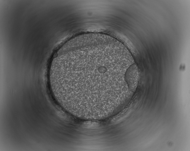 X0000102340354200808291143