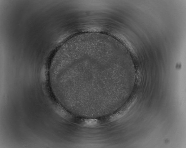 X0000102340355200808291143