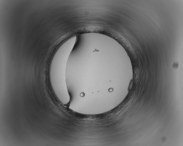 X0000102340356200808291143