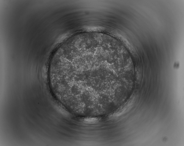 X0000102340357200808291143