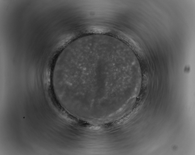 X0000102340358200808291143