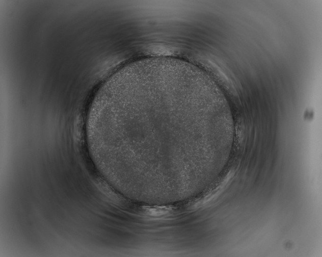 X0000102340359200808291143