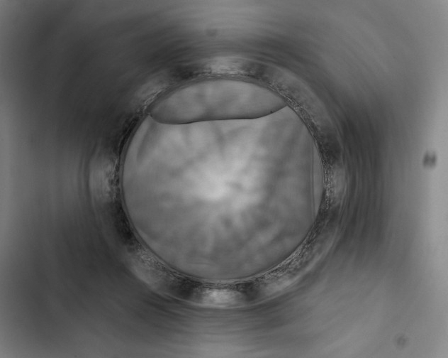 X0000102340360200808291143