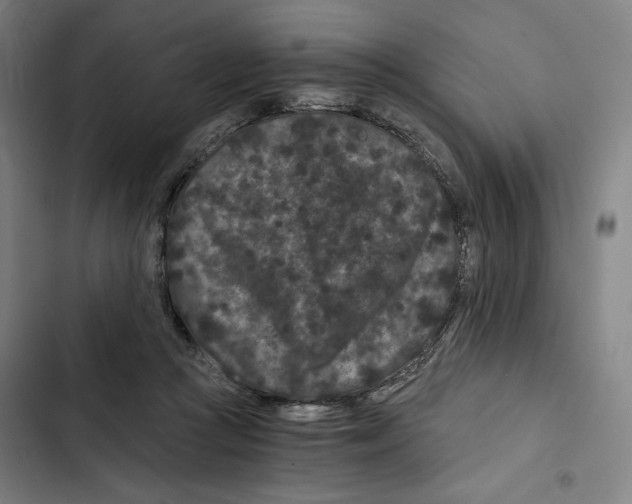 X0000102340361200808291143