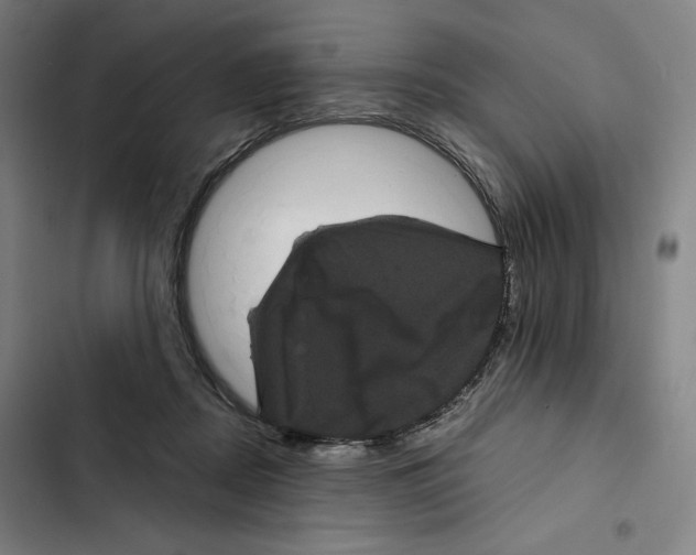 X0000102340362200808291143