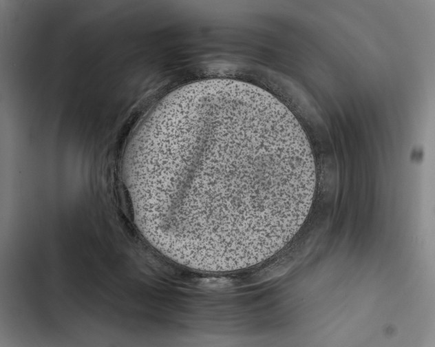 X0000102340363200808291143