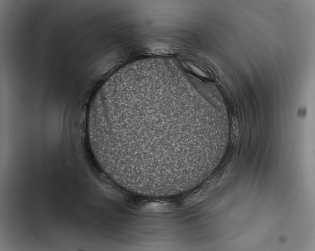 X0000102340364200808291143