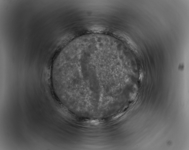 X0000102340365200808291143