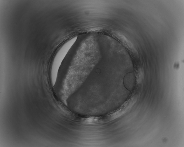X0000102340366200808291143