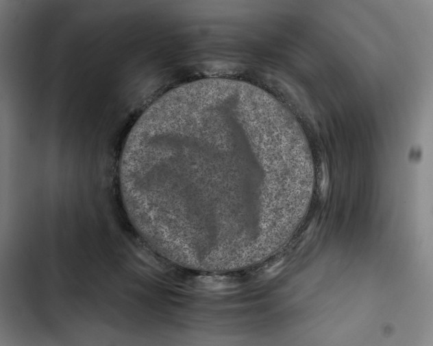 X0000102340367200808291143