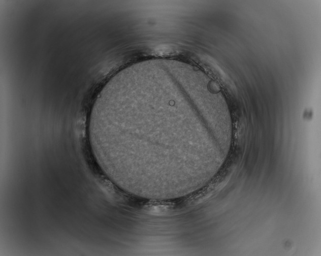 X0000102340368200808291143