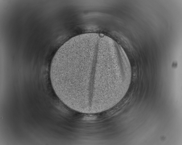 X0000102340369200808291143
