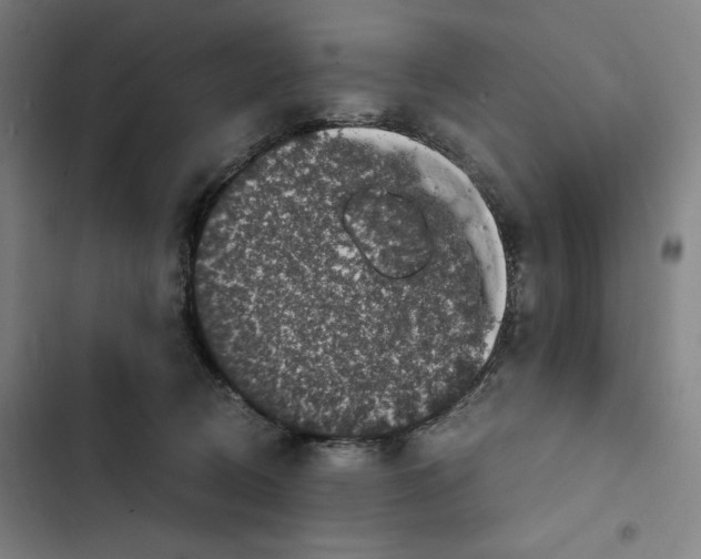 X0000102340370200808291143