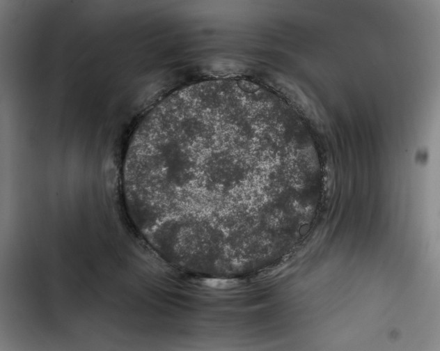 X0000102340371200808291143