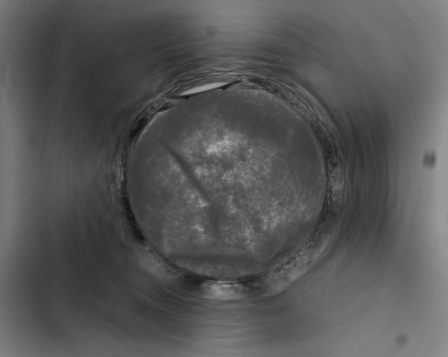 X0000102340372200808291143