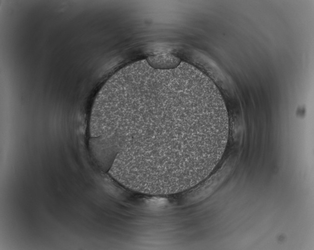 X0000102340374200808291143