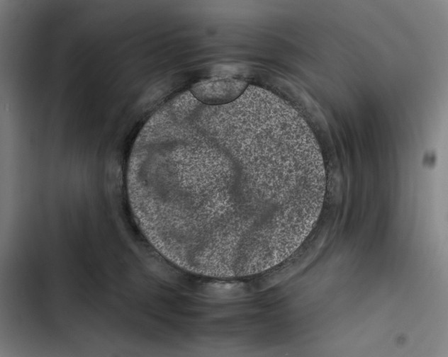 X0000102340375200808291143