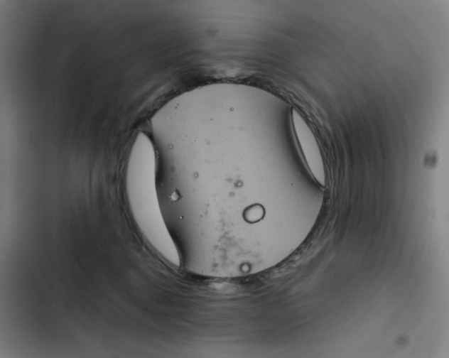 X0000102340376200808291143