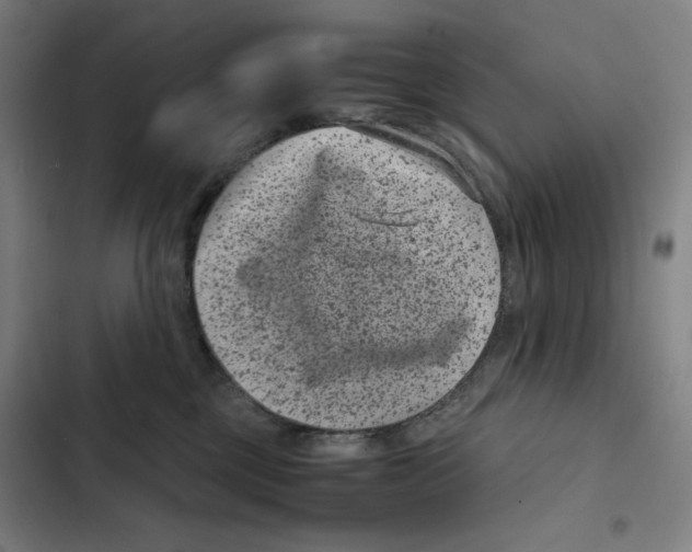 X0000102340377200808291143