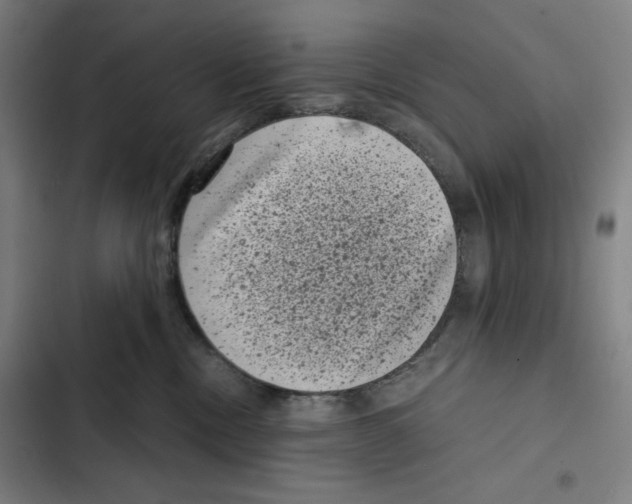 X0000102340378200808291143