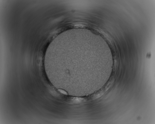 X0000102340379200808291143
