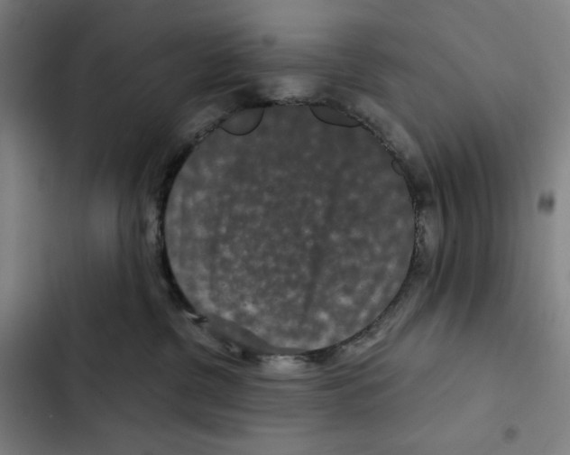 X0000102340380200808291143