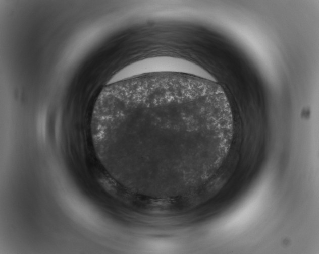 X0000102340382200808291143