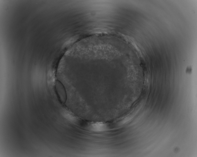 X0000102340383200808291143