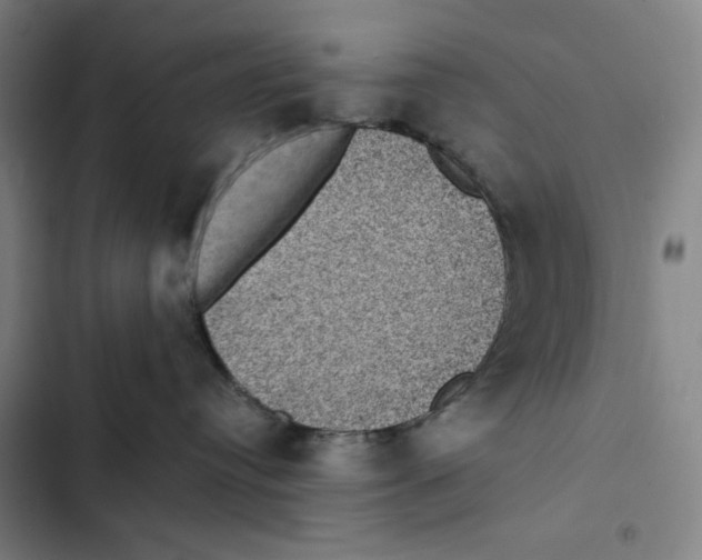 X0000102340384200808291143