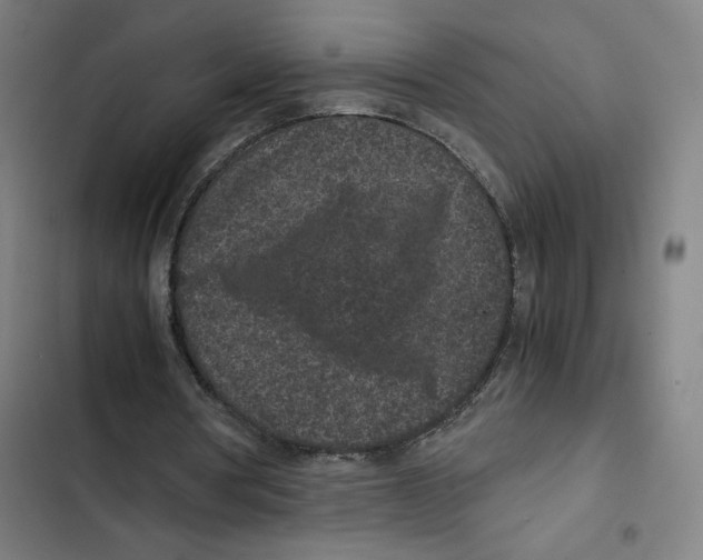 X0000102340386200808291142