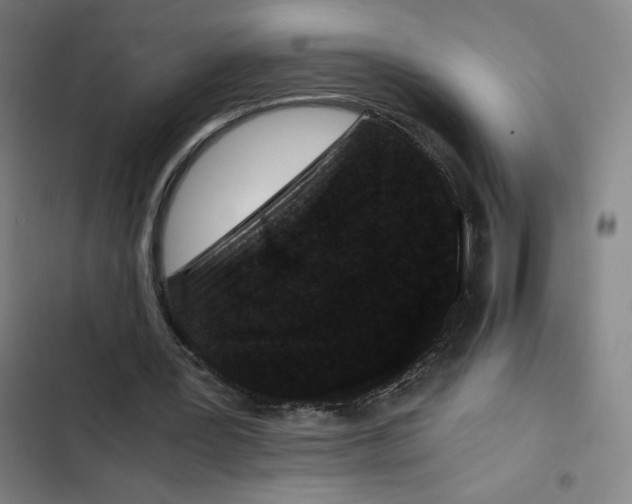X0000102340387200808291142