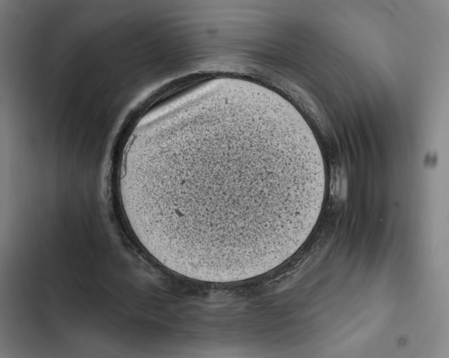 X0000102340388200808291142