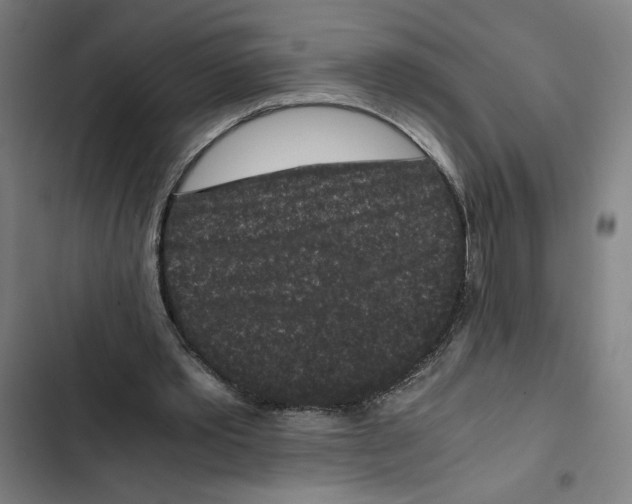 X0000102340389200808291142
