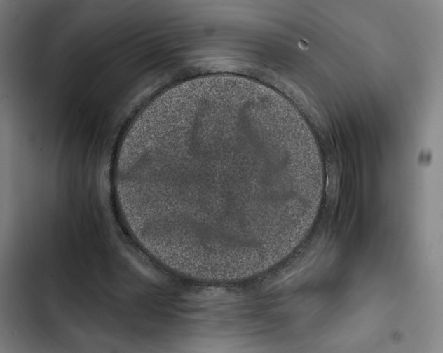 X0000102340390200808291142