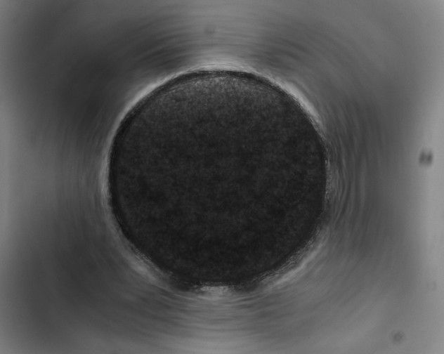 X0000102340391200808291142