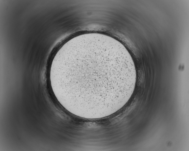 X0000102340392200808291142