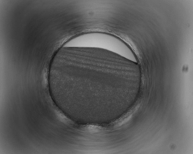 X0000102340393200808291142