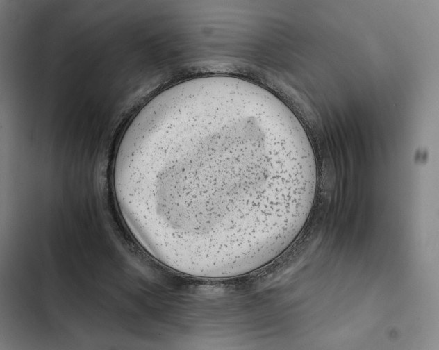 X0000102340394200808291142