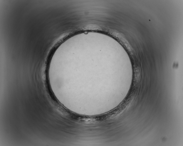 X0000102340395200808291142
