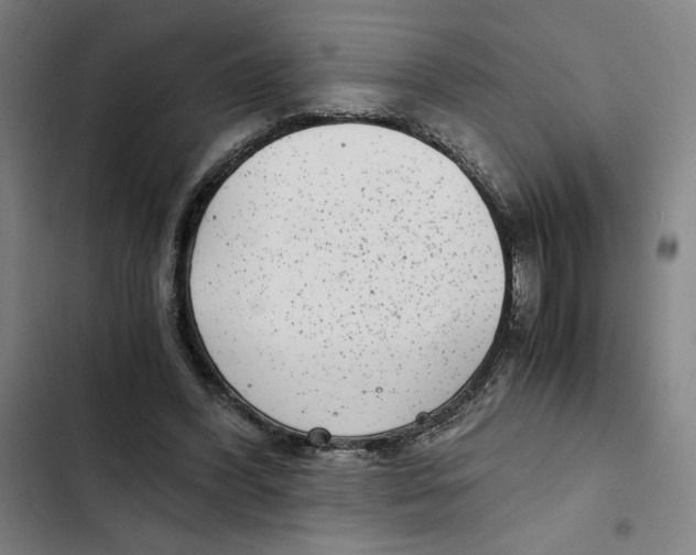 X0000102340396200808291142