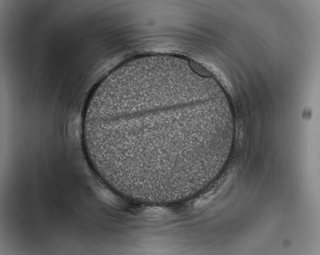 X0000102340397200808291142