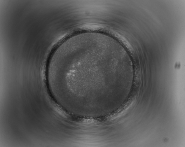 X0000102340399200808291142