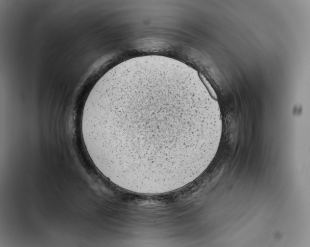 X0000102340400200808291142