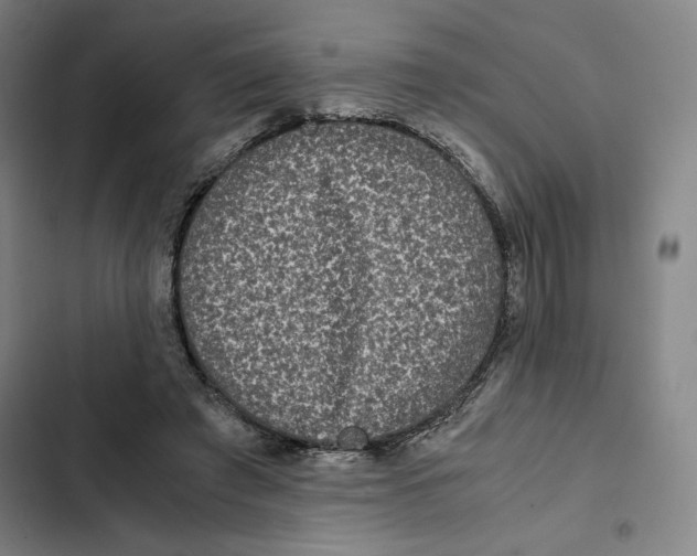 X0000102340401200808291142