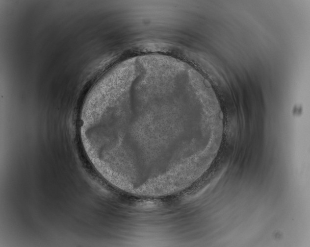 X0000102340402200808291142