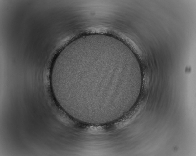 X0000102340403200808291142